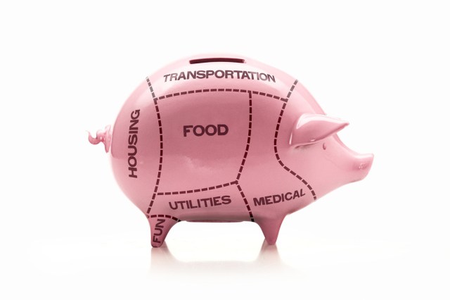 Piggy bank divided up like cuts of meat --- Image by © C.J. Burton/Corbis